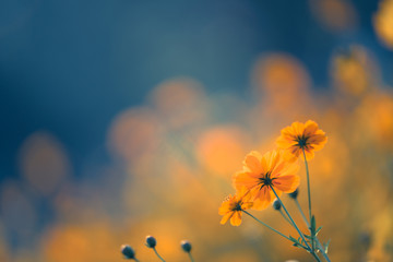 150平米需要几匹空调-