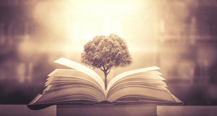 《红楼梦》在哪里拍摄的？