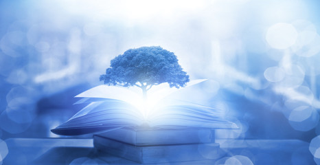 《负之遗产》极限装备使用方法介绍