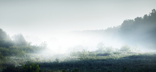 雨燕自动档变速箱润滑油多少公里更换