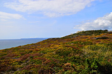 单反镜头清洁方法
