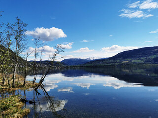 氢氧化钠为什么不能储存在带了磨口玻璃塞试剂瓶