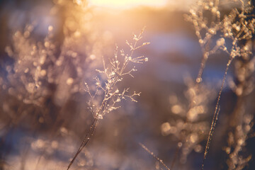 激光的电流、脉宽、频率分别代表着什么