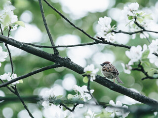 性格强势的女生适合和什么样类型的男孩子谈恋爱？