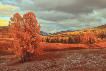 氙气灯和LED灯哪个对汽车照明比较好-