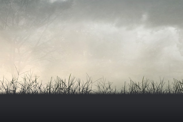 sql 查询 一个表中某几列数据