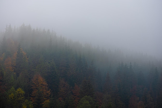 幼儿园外部环境和内部环境的关系