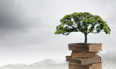 吉他弦的规格分类