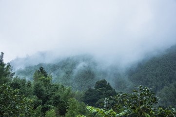 《红楼梦》在哪里拍摄的？